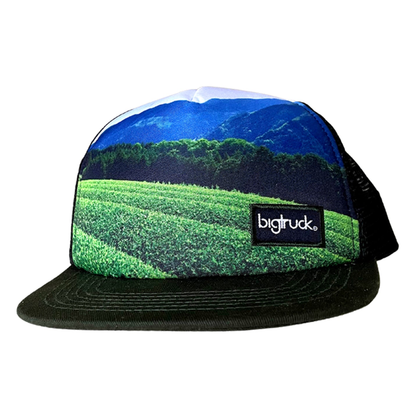 Davidson's X bigtruck Hats - Wholesale