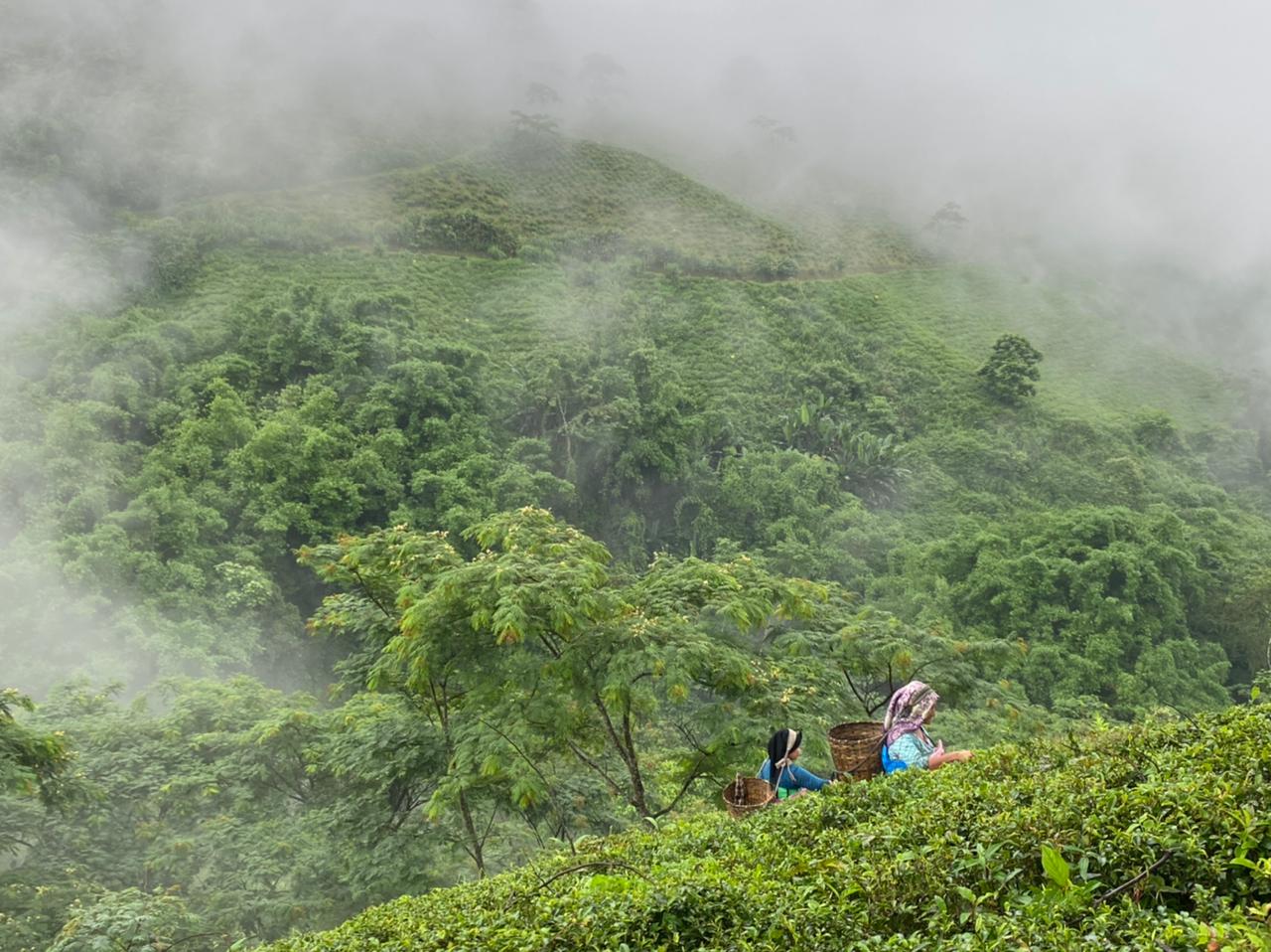 Two people sitting on a hillside with misty green landscape