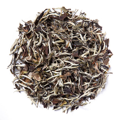 Moonlight White (Loose Leaf) - Out of Stock