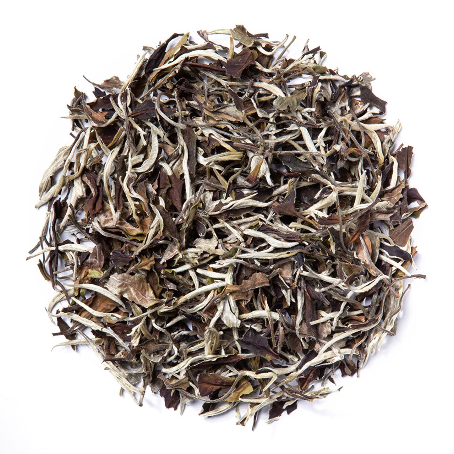 Moonlight White (Loose Leaf) - Wholesale - Out of Stock