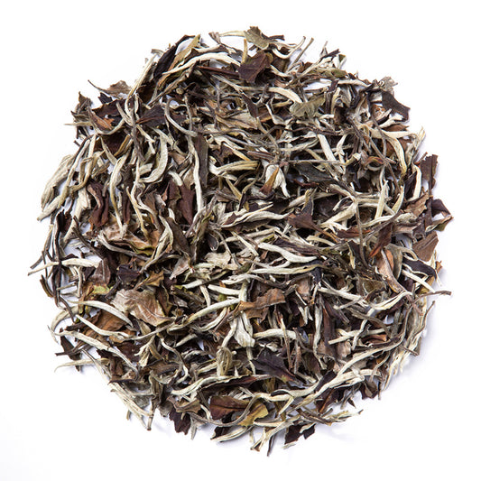 Moonlight White (Loose Leaf)